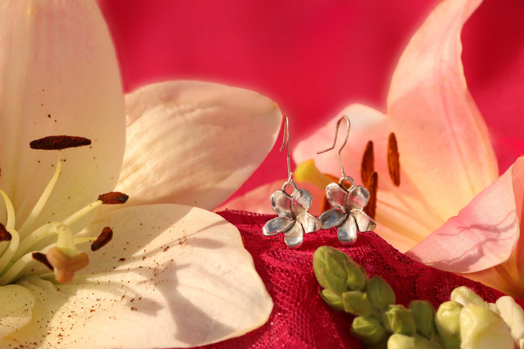 Fotografía de Joyeria dos aretes en una flor