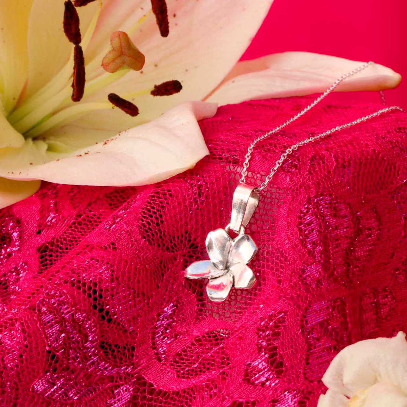 Fotografía de Joyeria
