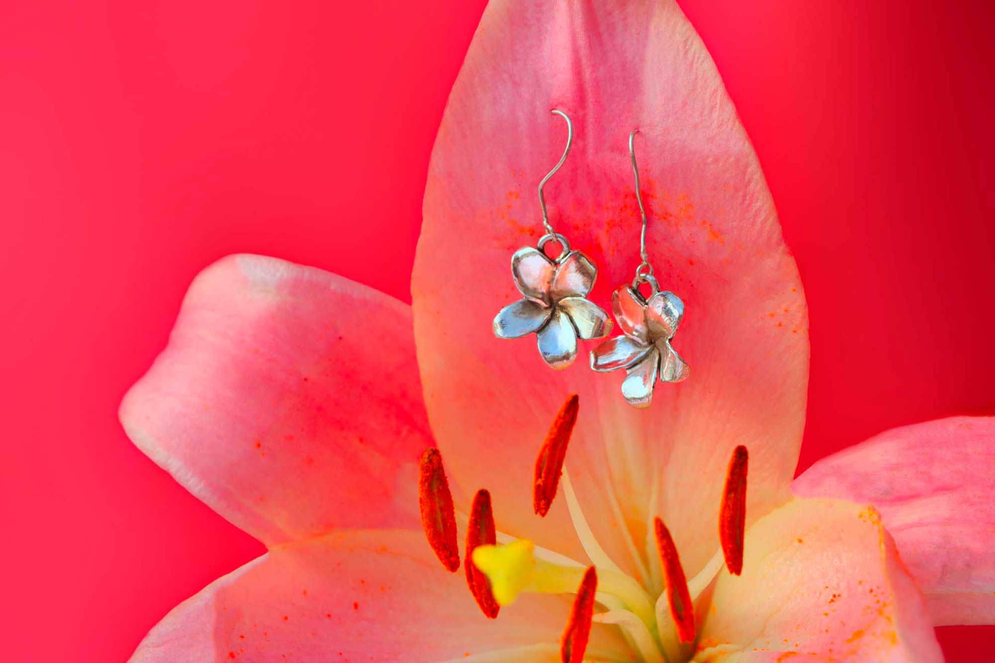 Aretes en una flor