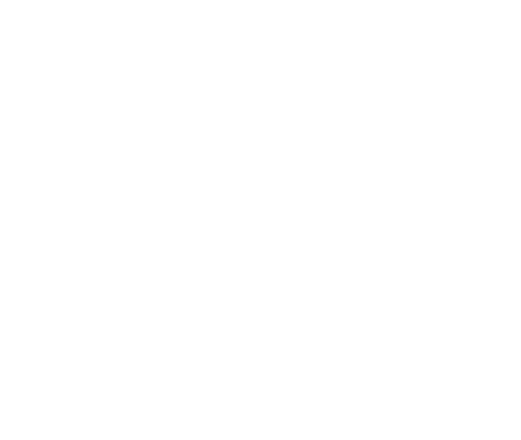 Logo pelusa